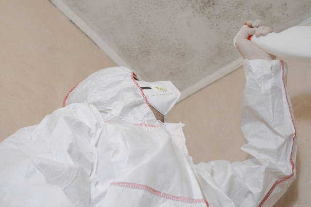 Best Commercial Mold Remediation in Grant Valkaria, FL